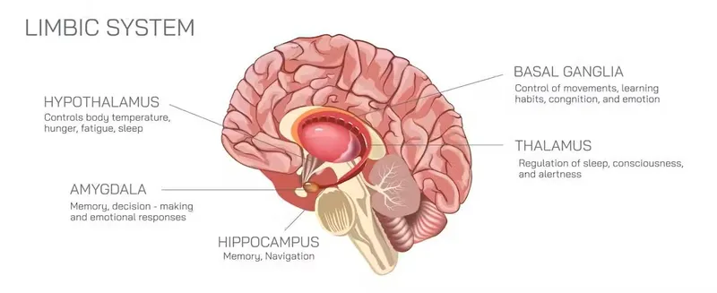 Five tips to make your memory work more effectively