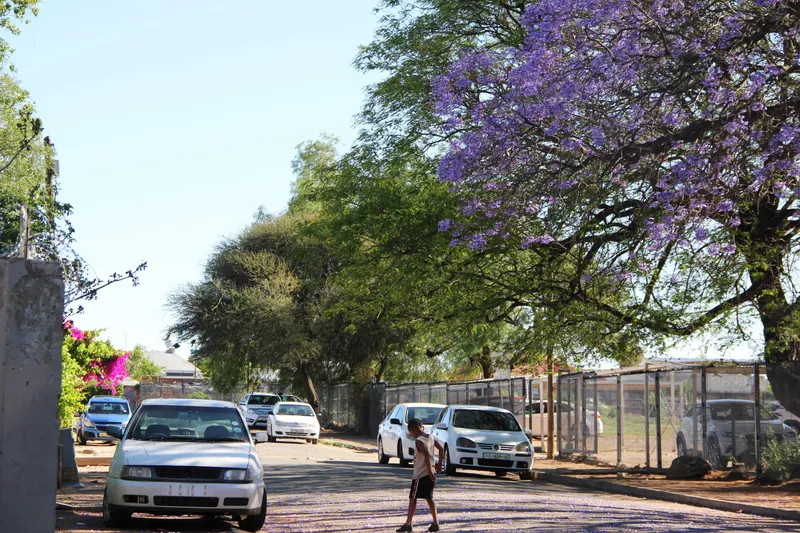 Parents alarmed as Kimberley pupils suffer mysterious fainting spells after camp