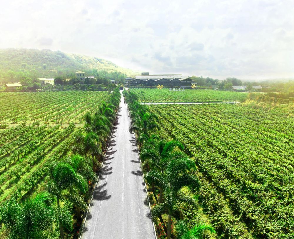 A toast to the world's newest wine route