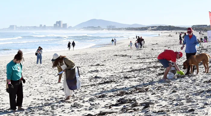 Plastic Free Mzansi is kicking off World Environment Day today with a beach cleanup at Sunset Beach in Milnerton. Picture: Ayanda Ndamane/African News Agency(ANA)