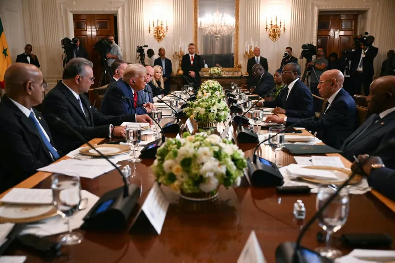 Trump's America First Strategy Undermining Africa's Sovereignty