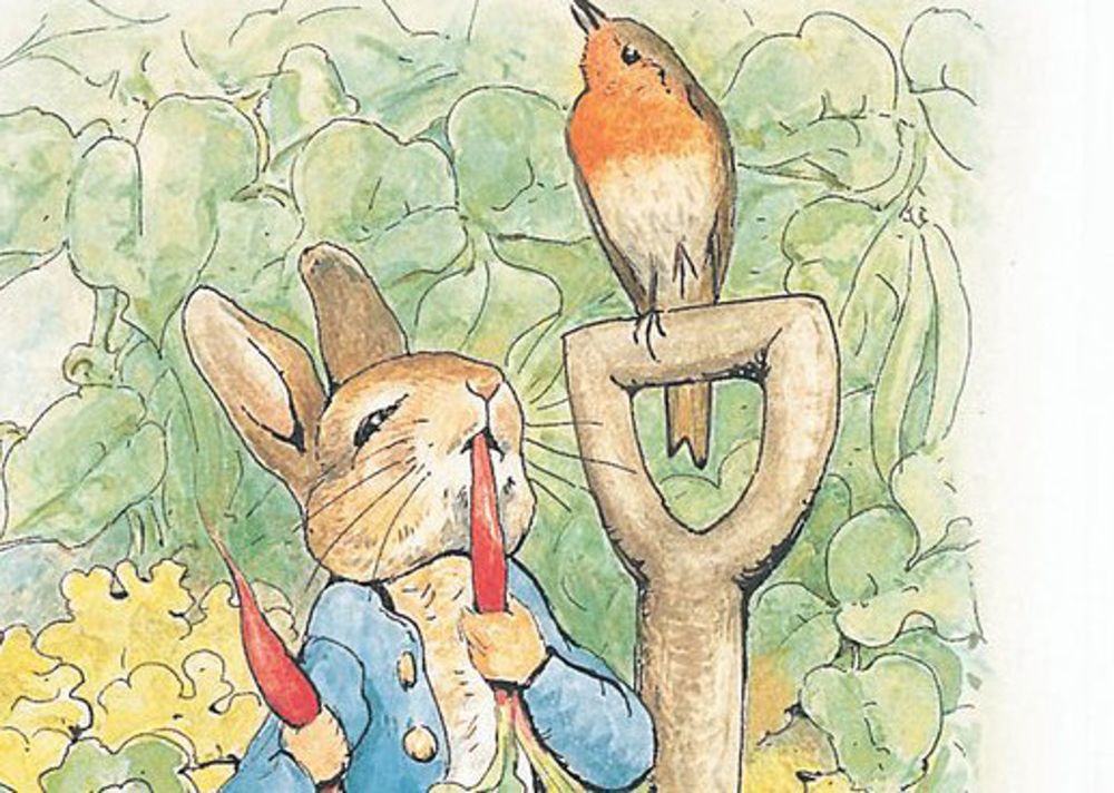 James Corden voices Peter Rabbit in upcoming film