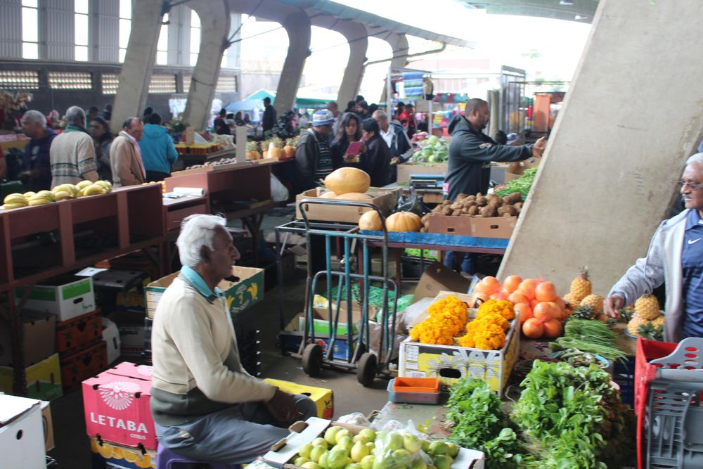 Why land still matters: from forced removals to community food gardens - IOL