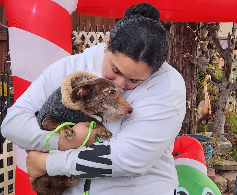 Lost for years, found miles away: microchipped dog reunites with owner after cross-country journey