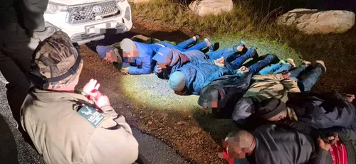 12 arrested in Cape Point abalone poaching operation