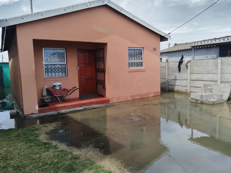 Makhaza sewage crisis: Residents endure unbearable conditions