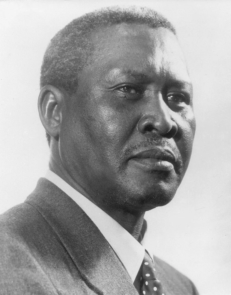 Doctor ' finished off' murdered anti-apartheid icon Luthuli