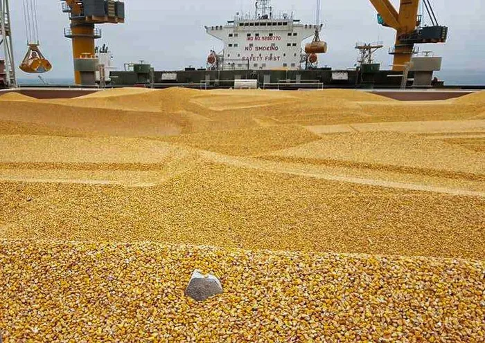 The Crop Estimates Committee (CEC) latest report in June indicates a further increase in the maize, sunflower, and soybean summer crop