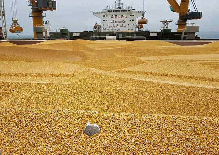 CEC report predicts historic grain harvest for South Africa in 2026