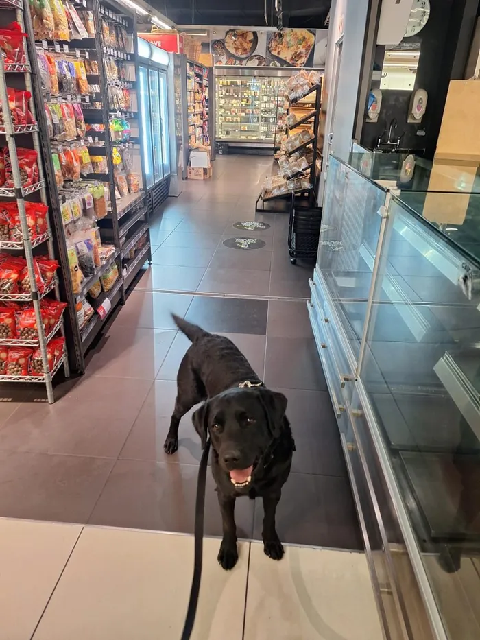 Sniffer dogs and security surge at Woolworths after explosions spark national probe.