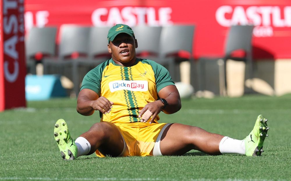 Mbonambi and Mchunu drafted in as Springboks brace for Ireland and Wales