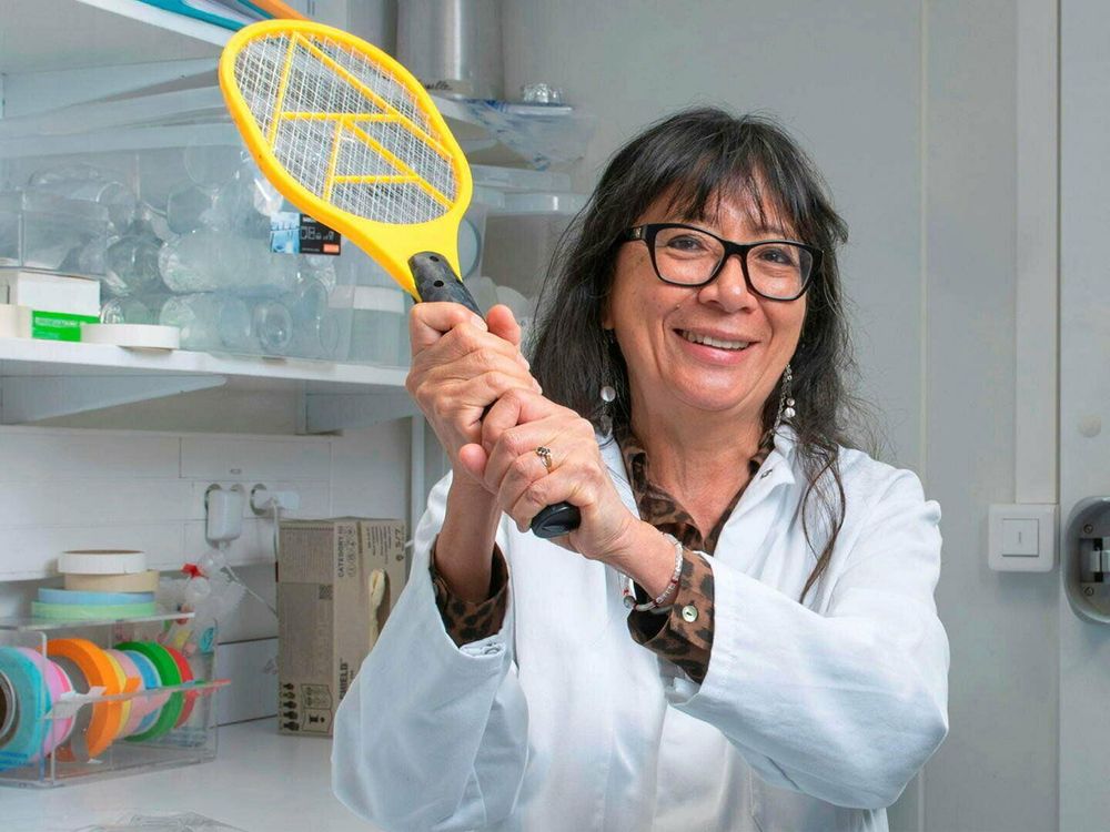 Meet the scientist confronting the rising global threat of mosquitoes
