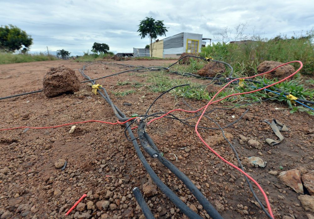 High Court orders Eskom to pay damages after child electrocuted by powerline - IOL