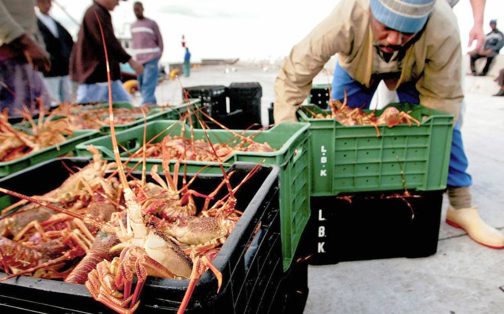 EU hooks most of SA's fish exports