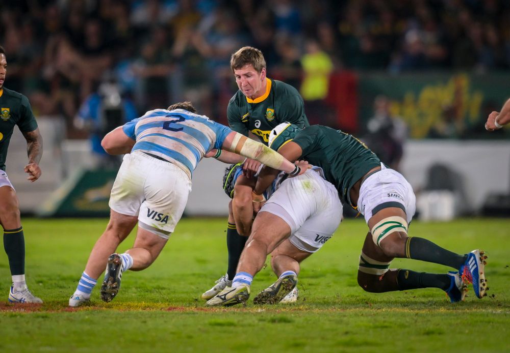 Lions want a bite of Kwagga