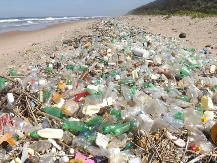 The fisheries department says there is sufficient evidence showing that a large percentage of pollution in the ocean originates from sources on land, which has prompted the department to develop the “Source-to-Sea” initiative.