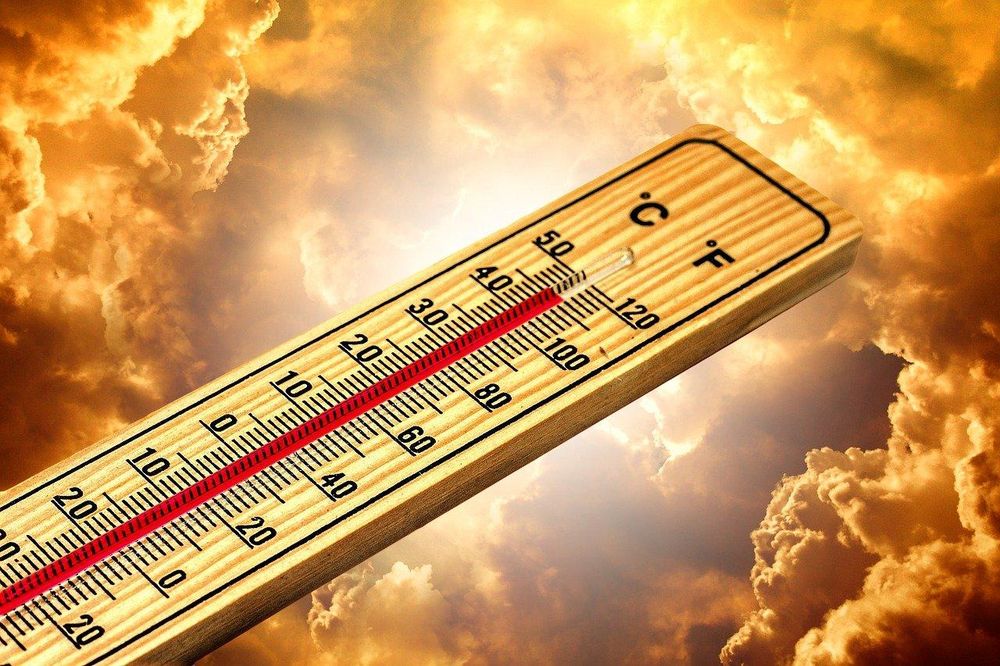 This year set to be one of hottest years on record — here’s what that means for South Africa