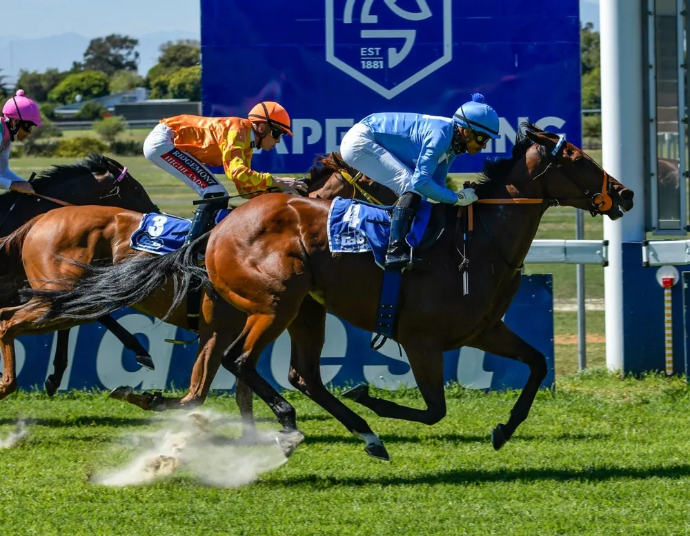 Contender Somerset Maugham ridden by Grant van Niekerk