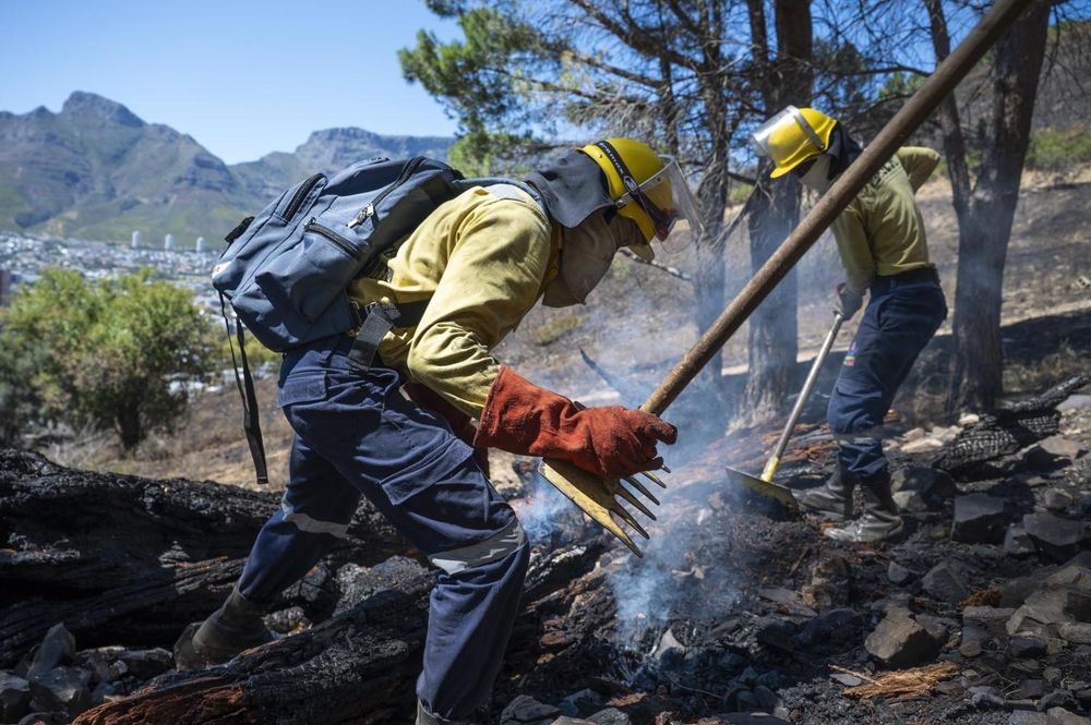 The role of land management in wildfire prevention in South Africa