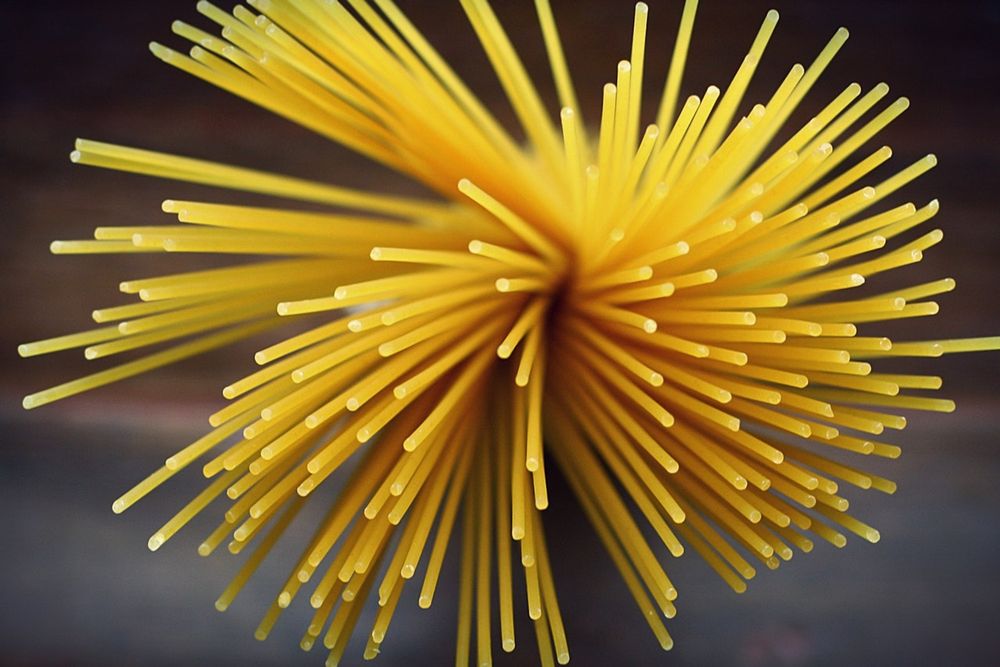 WATCH: What really happened when a student died after eating leftover pasta