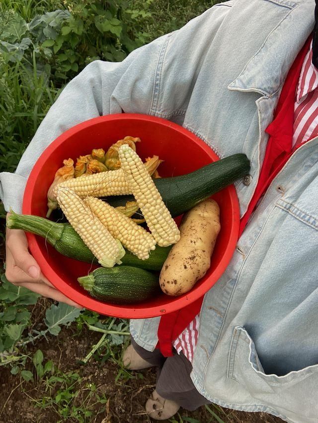 Food Indaba 2026: Inside Cape Town's massive sustainable food and culture showcase