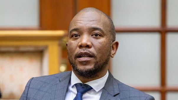 Why Maimane believes SANDF deployment won't solve South Africa's crime issues