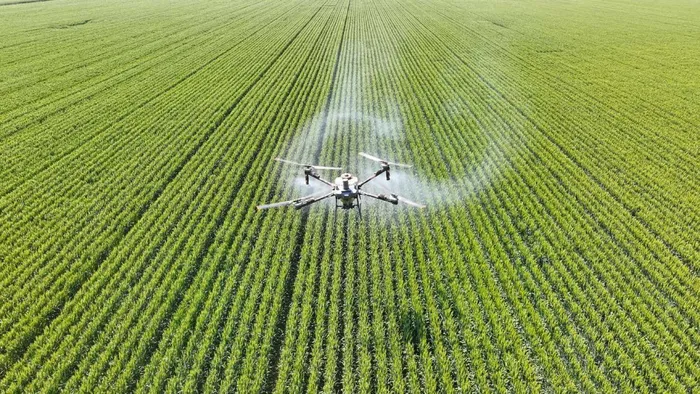 A drone sprays pesticide over farmland in Guangrao county, Dongying, east China's Shandong province. At the Agricultural Research Council, we are not only committed to advancing agricultural science, we are committed to transforming agriculture through science, writes Dr Lerato Matsaunyane.