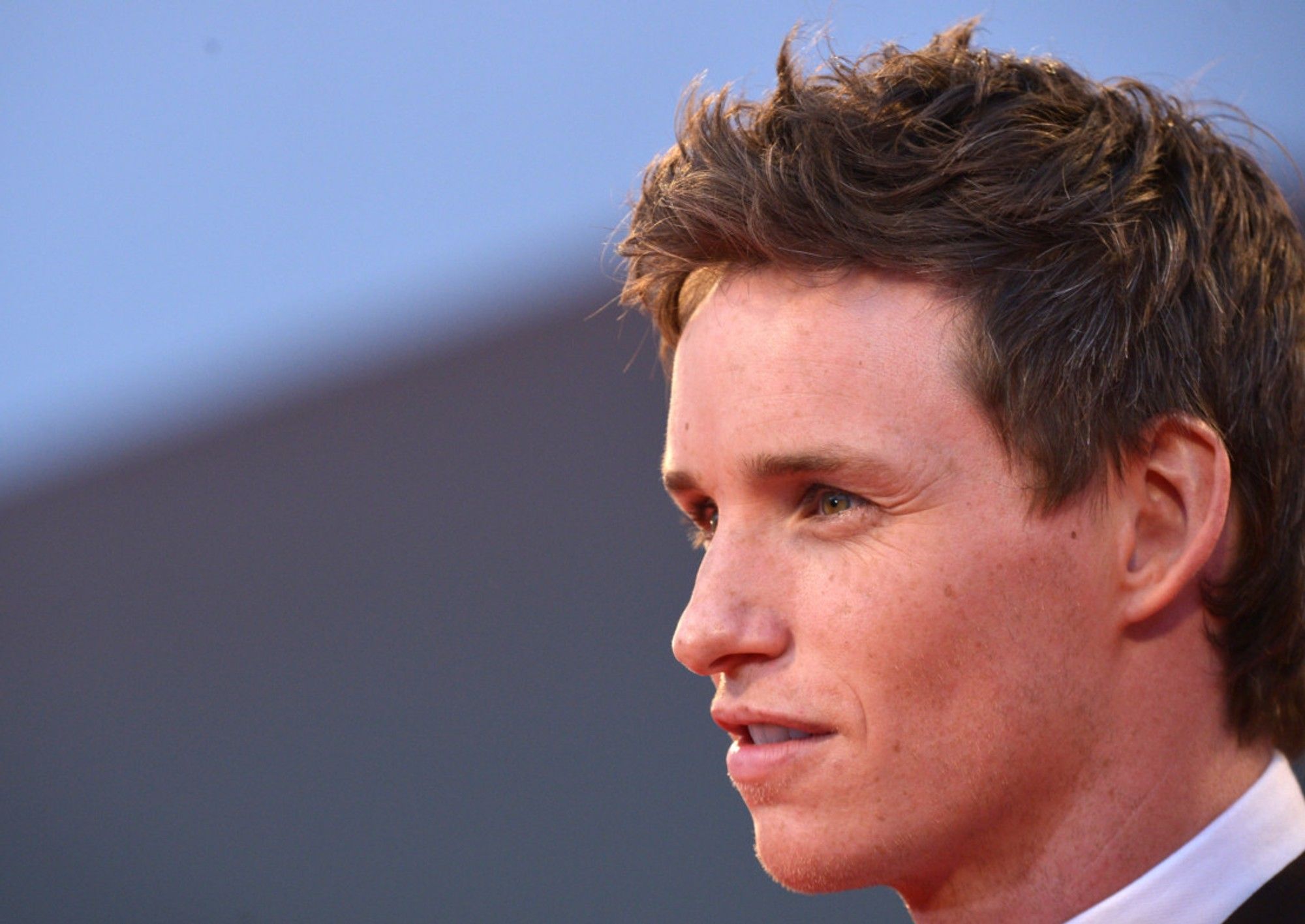 Redmayne on Danish Girl's nude scenes