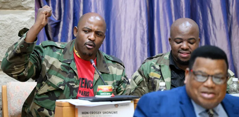 Parliament concerned about MPs' safety following kidnapping of MK Party member