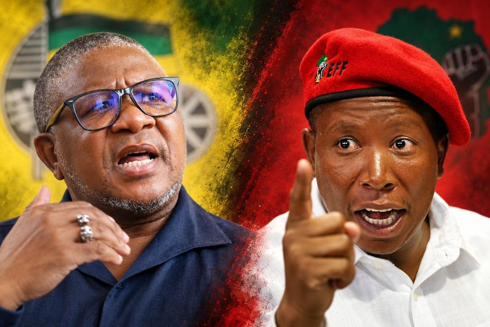 AfriForum targets Mbalula, Malema in prosecution over Bergview rape claims - IOL