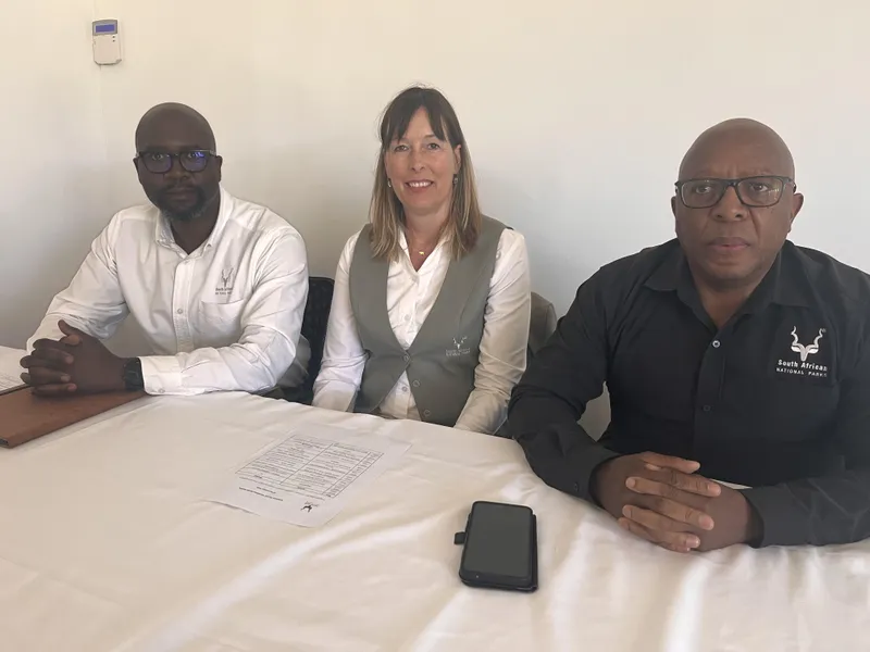 Get ready for the festive season at Table Mountain National Park