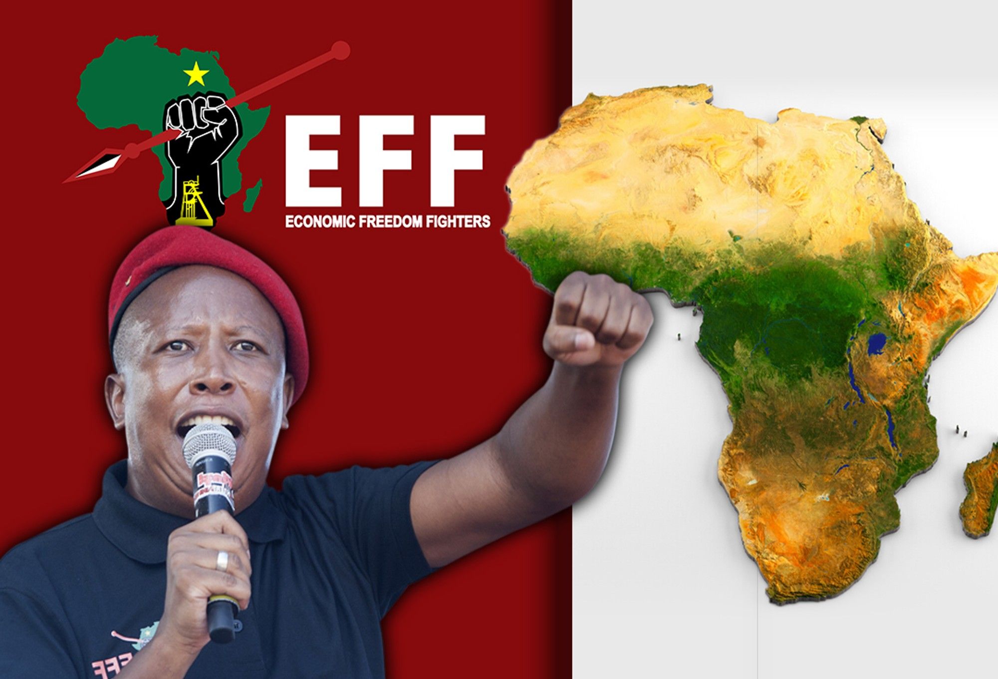 South Africa: EFF’s lens on Africa signals its long-term vision