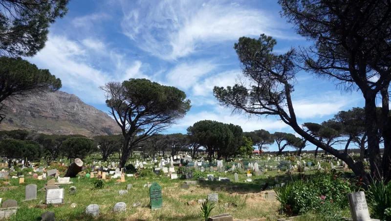 Western Cape High Court halts mortuary plans at historic Mowbray Muslim Cemetery