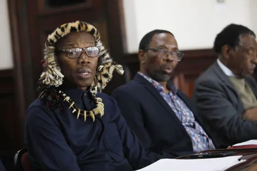 Protectors of the Zulu Crown vow to continue their mission despite king's rejection