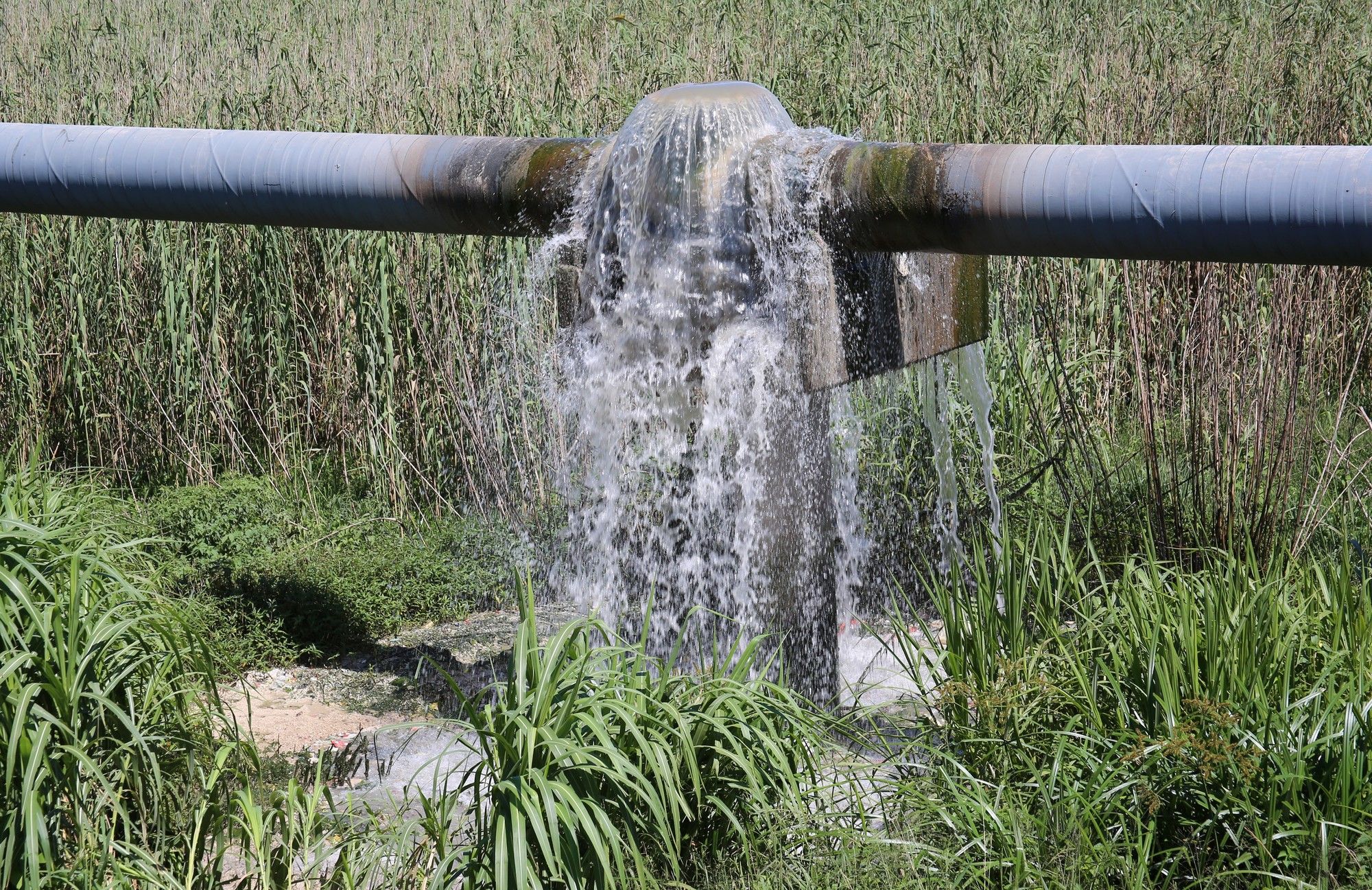 r200-million-mpumalanga-municipality-fined-for-polluting-water