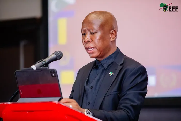 EFF president Julius Malema says criticism of foreign nationals owning spaza shops distracts from the real economic struggle over control of strategic sectors, including South Africa’s mining industry.