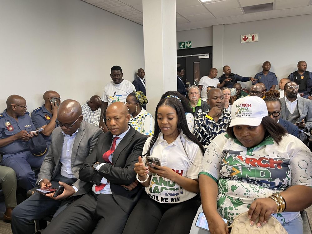 Court bans violence, weapons and disguises at March and March protests - IOL