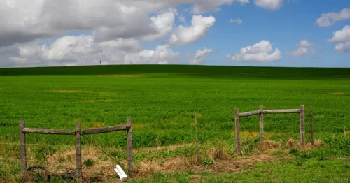 Flexi Expropriation Act debated in court