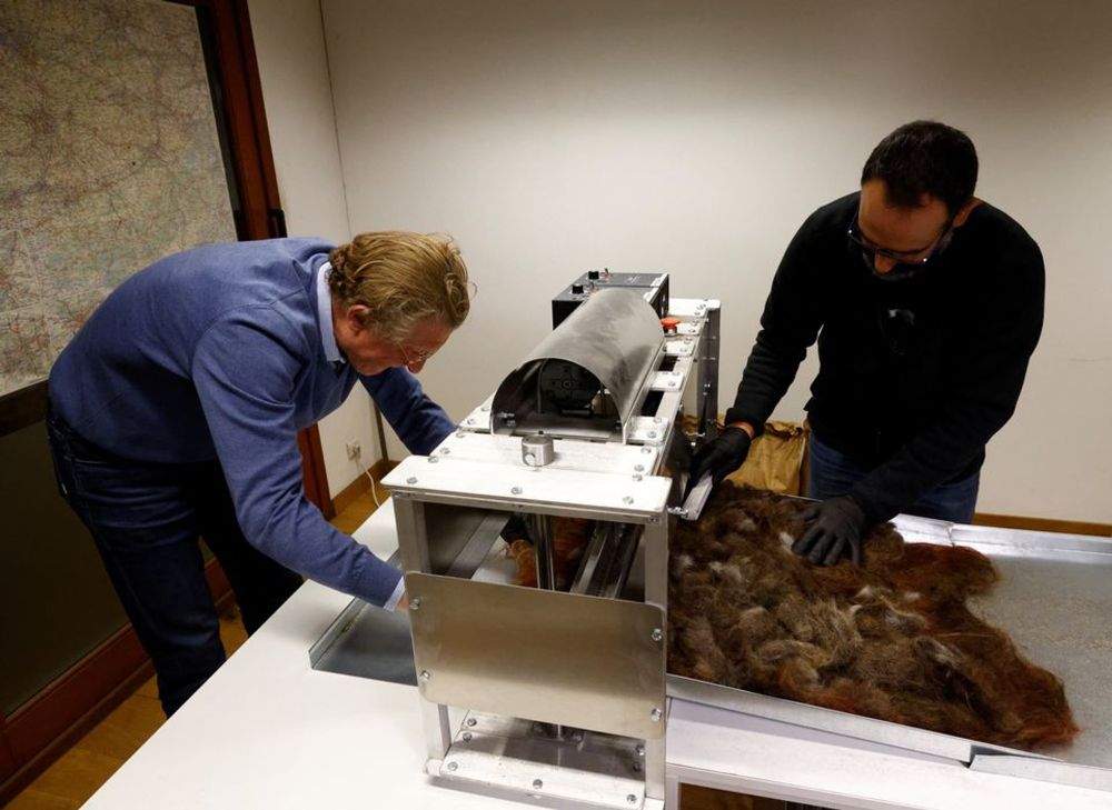 Human hair recycled in Belgium to protect the environment