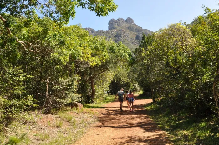 Kirstenbosch National Botanical Garden will grant free access to learners up to Grade 12 on weekdays. Picture: Supplied.