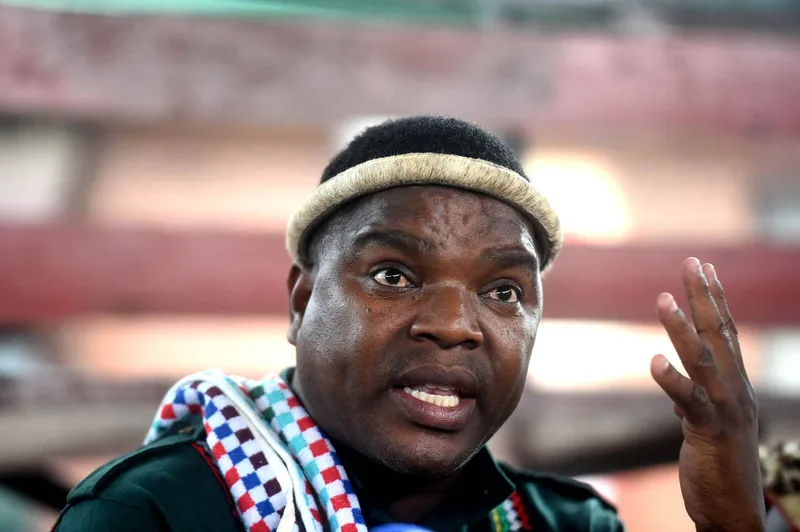 Pressure mounts on Ngizwe Mchunu amid court ruling, hate speech allegations, and arson attack