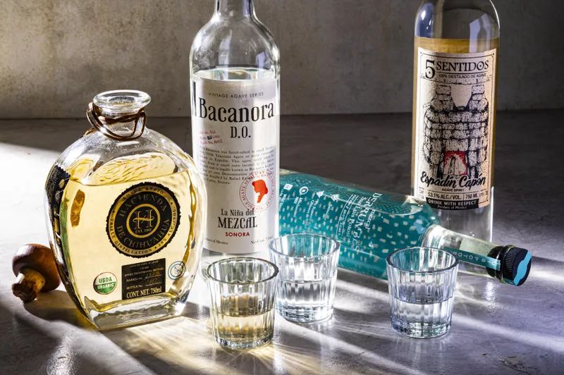 There’s a world of Mexican agave spirits beyond mezcal