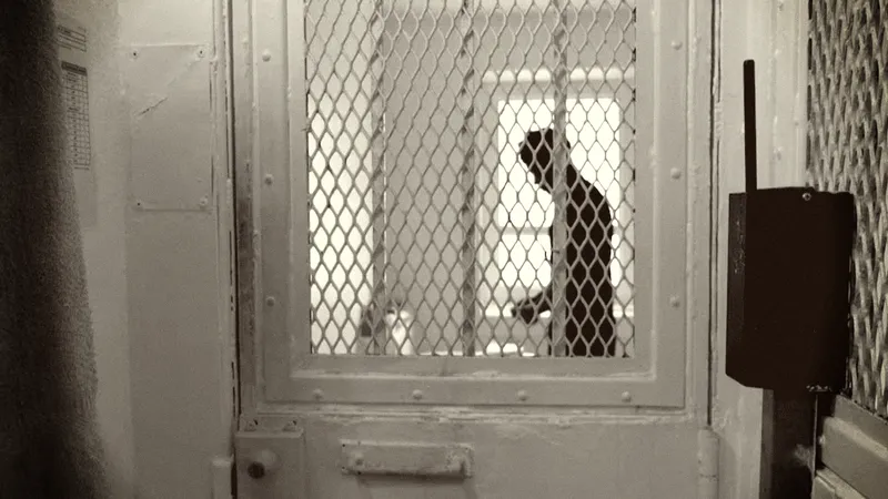 Cape Town man sentenced to 18 years for brutal violence against partner