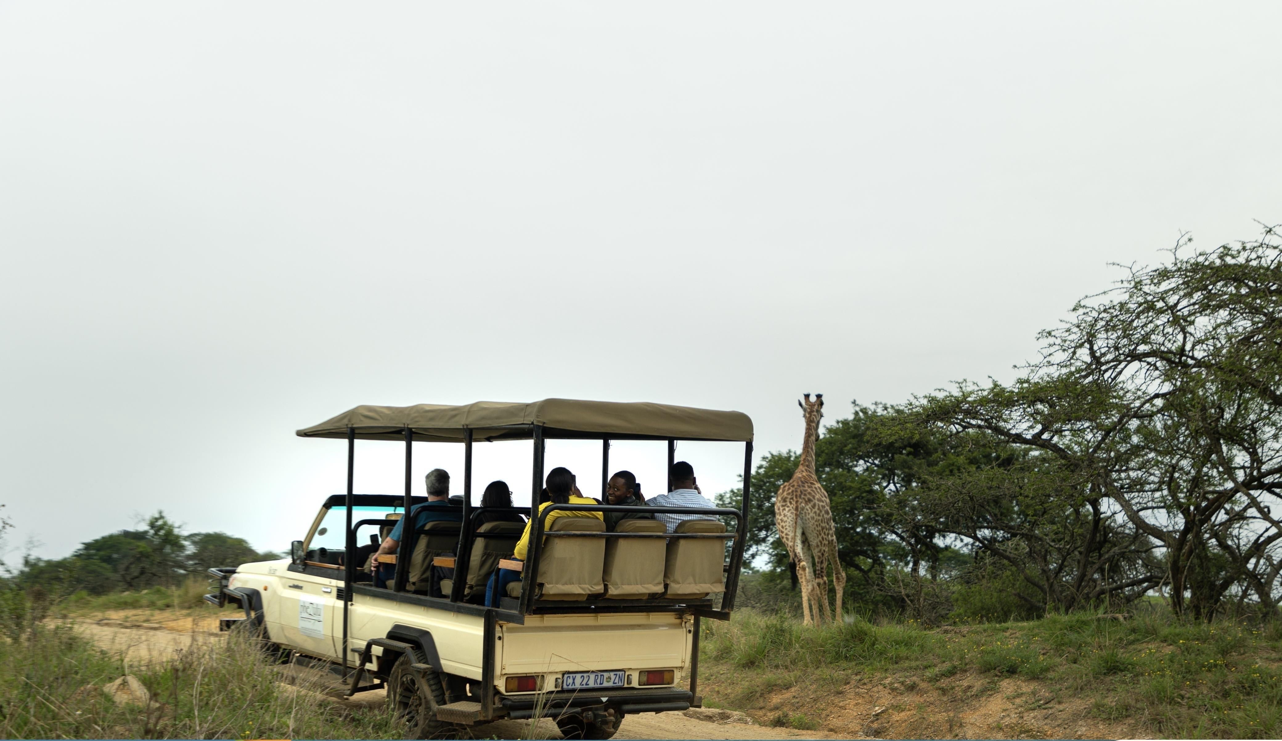 Experience Durban: your go-to destination for incredible value and ...