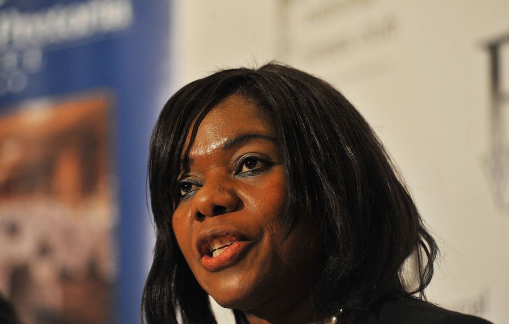 Public protector to seek protection