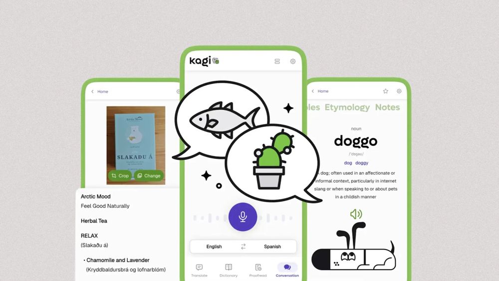 A privacy-focused alternative to Google Translate