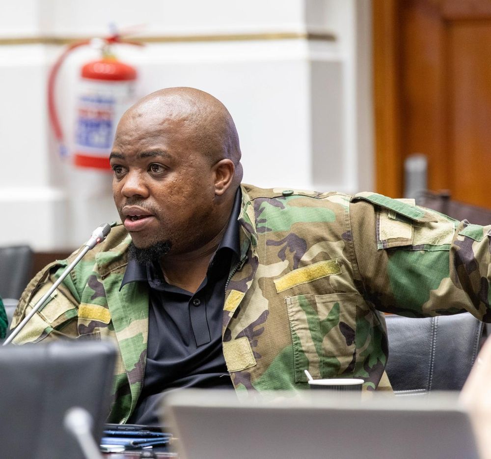 Parliament's Ad Hoc Committee criticises Paul O’Sullivan for disrespecting South Africa