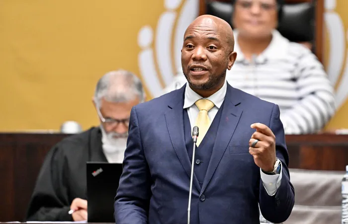 Chairperson of the Standing Committee on Appropriations and BOSA leader, Mmusi Maimane.