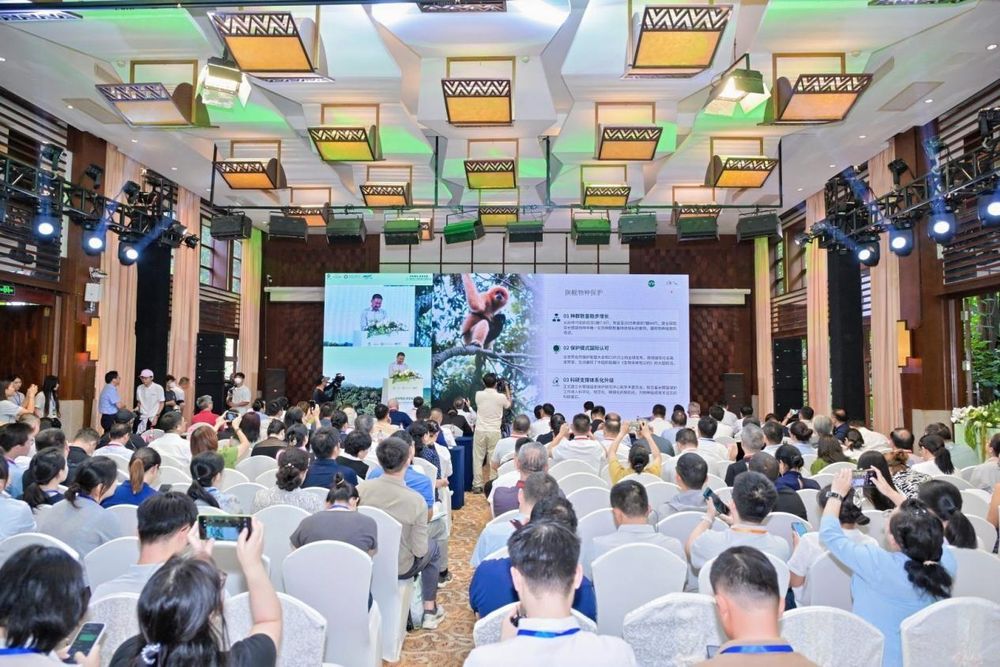 Five-year achievements unveiled for Hainan Tropical Rainforest National Park - IOL