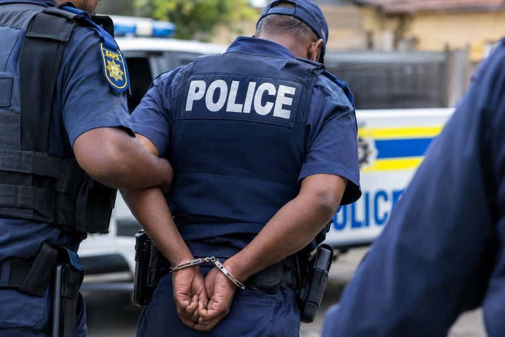 284 convicted SAPS employees remain in service, parliamentary committee ...